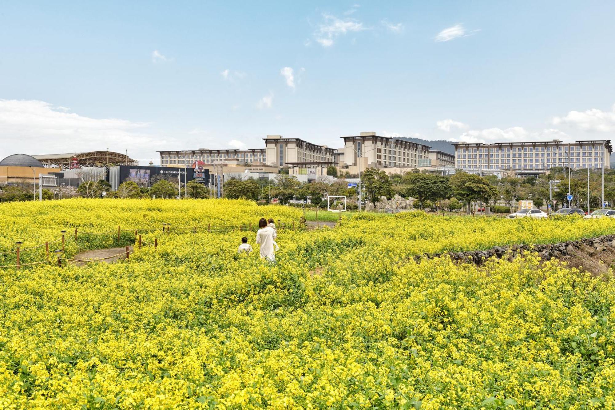 Hotel Marriott Jeju Shinhwa World Seogwipo